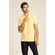 Polo-Celebration-Masculina-Etiqueta-Acostamento