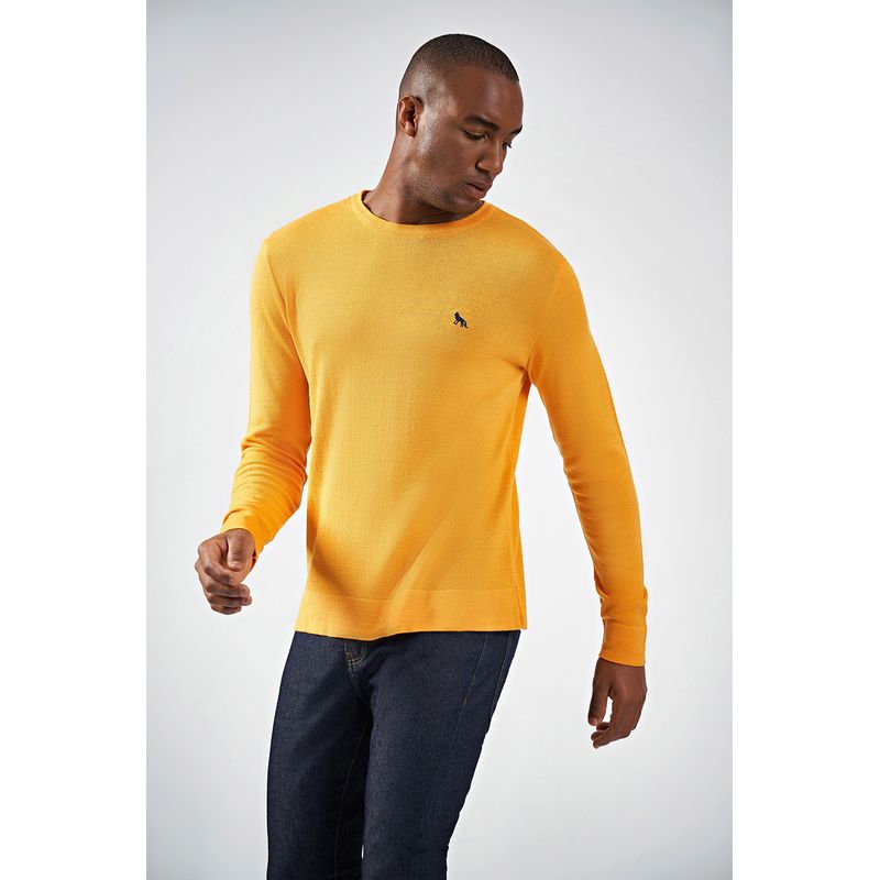 Sueter-Masculino-Tricot-Gola-Careca-Acostamento