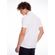 Polo-Masculina-Logo-Etiqueta-Vicinal-