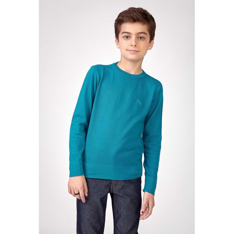 Sueter-Tricot-Basic-Young-Menino-Acostamento