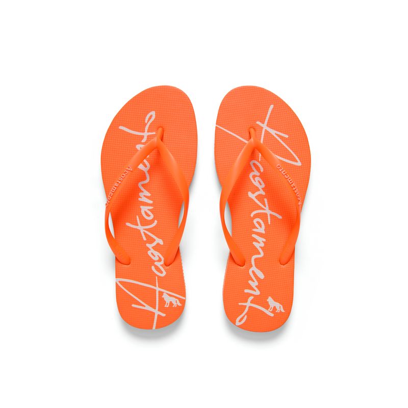 Chinelo-Color-Neo-Feminino-Acostamento