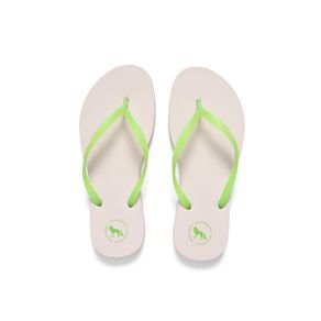 Chinelo-Basic-Tira-Color-Feminino-Acostamento Chinelo-Basic-Tira-Color-Feminino-Acostamento