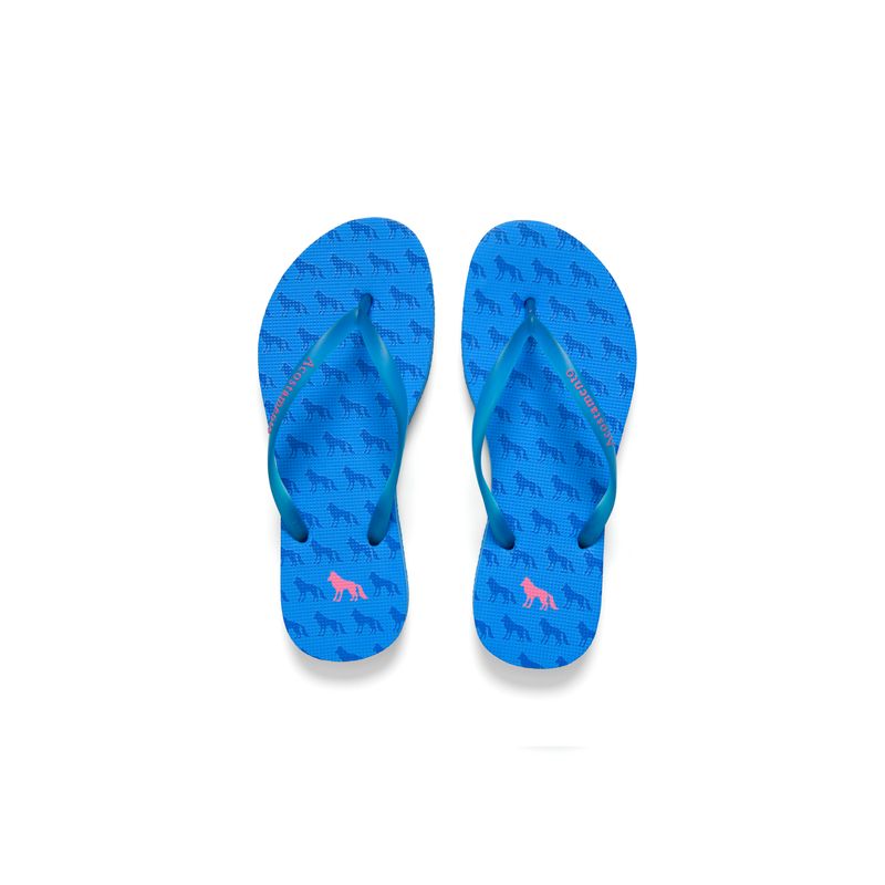 Chinelo-Wolf-Rot-Feminino-Acostamento