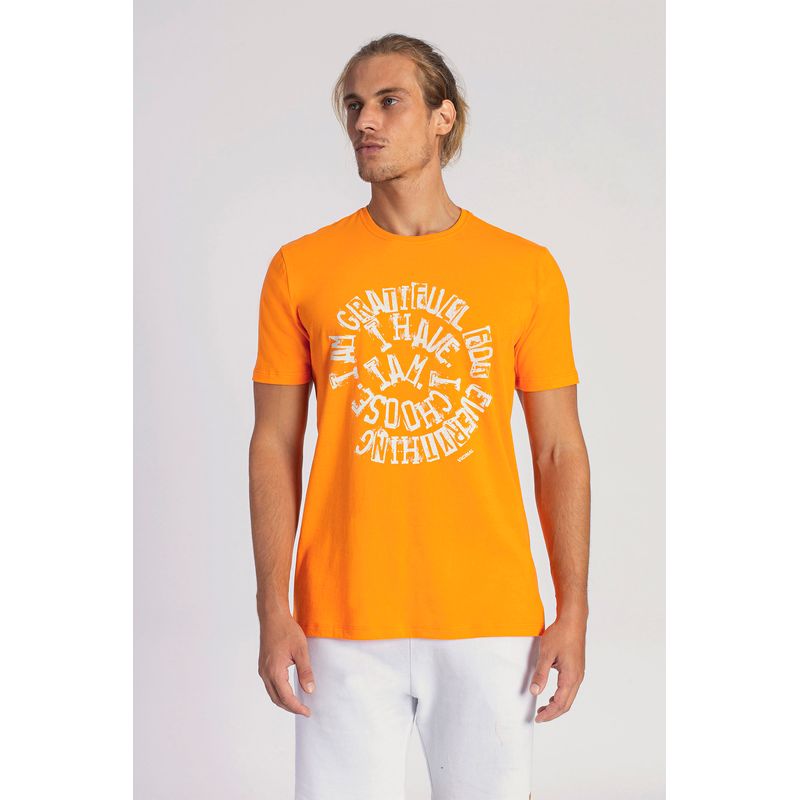 Camiseta-Gratifull-Masculina-Vicinal