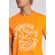 Camiseta-Gratifull-Masculina-Vicinal