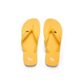 Chinelo-Lobo-Masculino-Acostamento