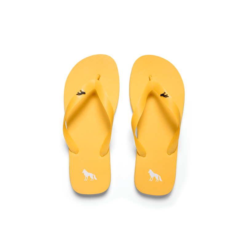 Chinelo-Lobo-Masculino-Acostamento