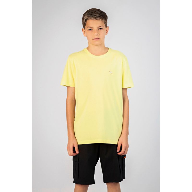 Camiseta-Wolf-Listra-Young-Menino-Acostamento