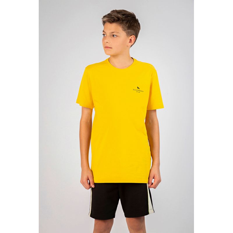 Camiseta-Emblema-Young-Menino-Acostamento