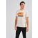 Camiseta-Form-Color-Masculina-Acostamento Camiseta-Form-Color-Masculina-Acostamento