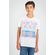 Camiseta-Disco-Young-Menino-Acostamento-