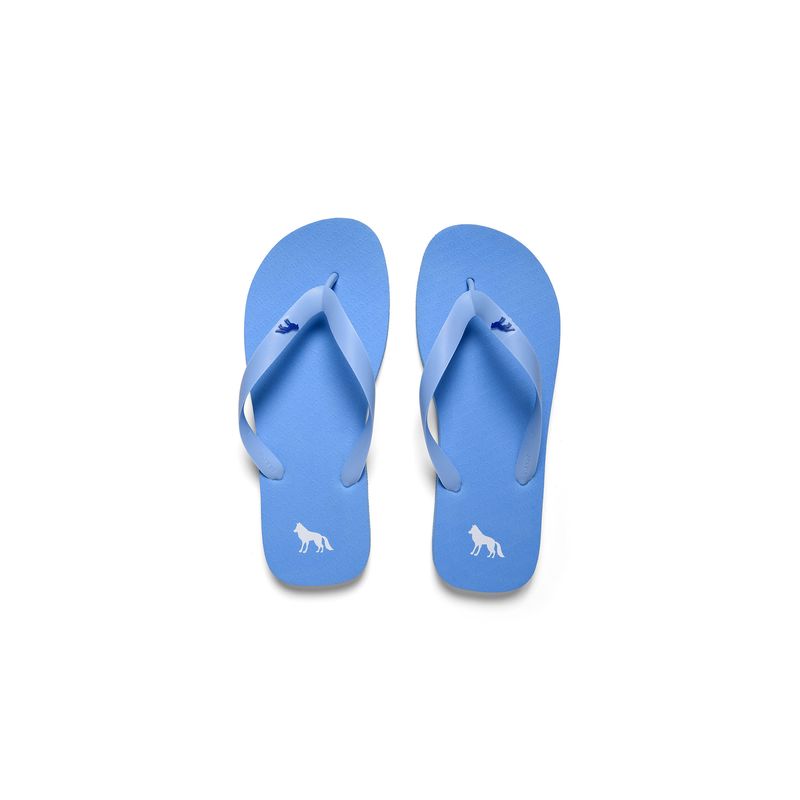 Chinelo-Lobo-Masculino-Acostamento