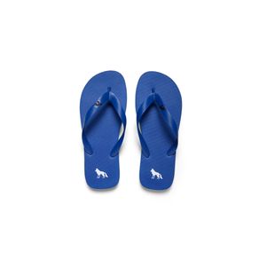 Chinelo-Lobo-Masculino-Acostamento