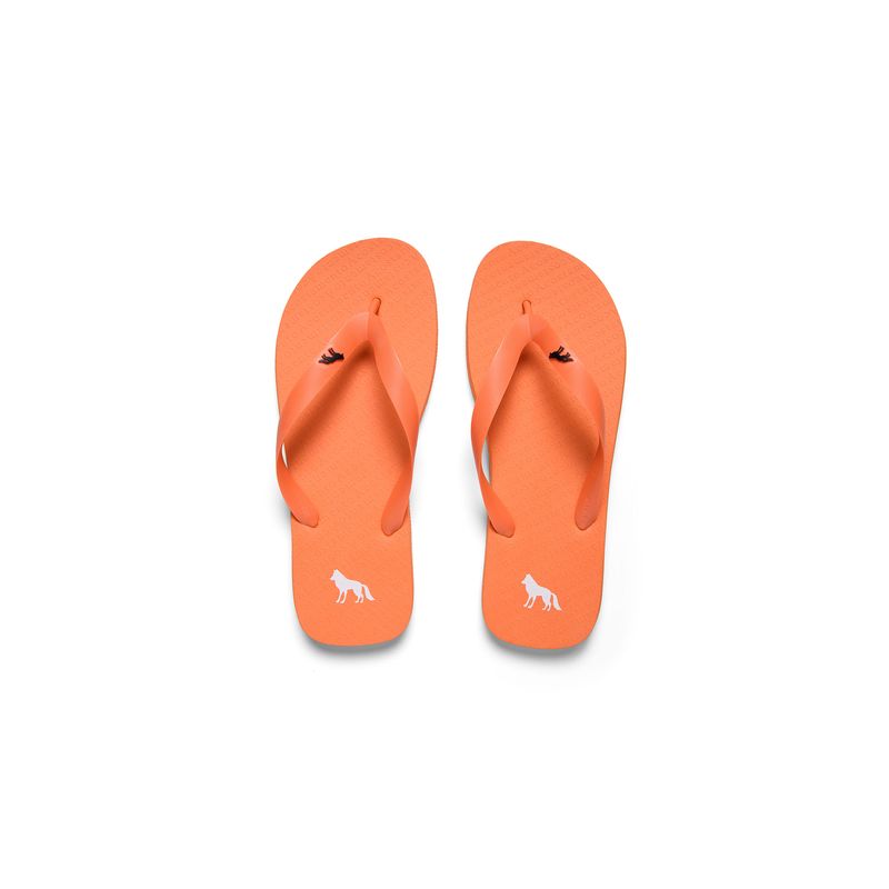 Chinelo-Lobo-Masculino-Acostamento