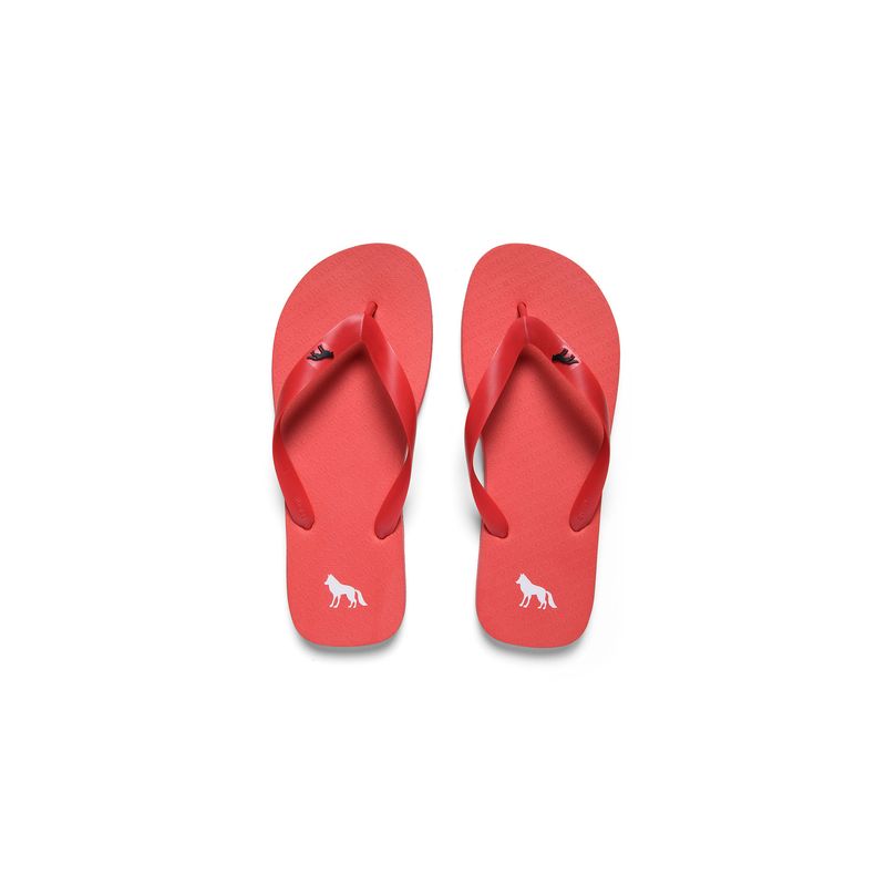 Chinelo-Lobo-Masculino-Acostamento
