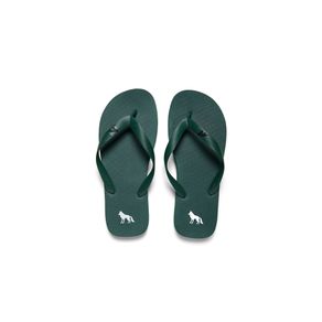 Chinelo-Lobo-Masculino-Acostamento