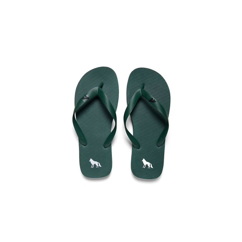 Chinelo-Lobo-Masculino-Acostamento