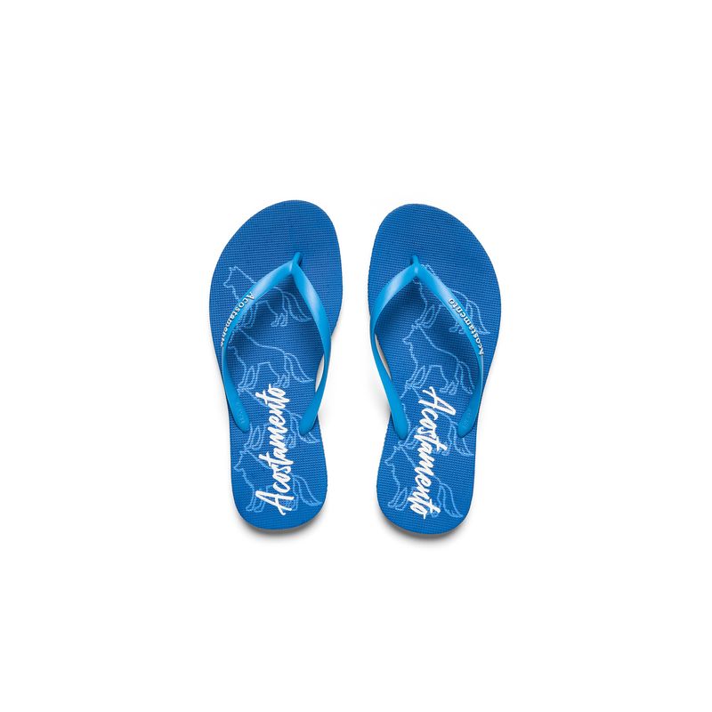 Chinelo-Sequence-Feminino-Acostamento