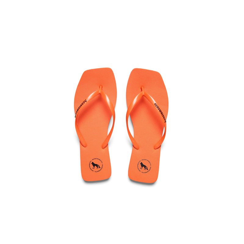Chinelo-Classico-Feminino-Acostamento