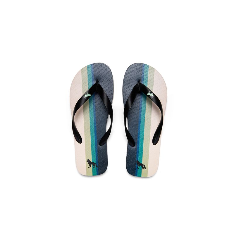Chinelo-Listras-Masculino-Acostamento