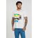 Camiseta-Mountain-Masculina-Vicinal