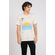 Camiseta-Sun-Masculina-Vicinal-