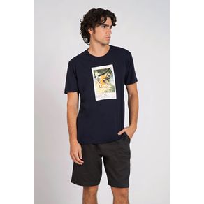 Camiseta-Picture-Masculina-Vicinal- Camiseta-Picture-Masculina-Vicinal-