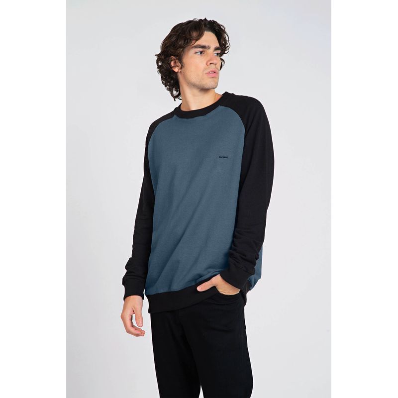 Blusao-Moletom-Raglan-Masculino-Vicinal