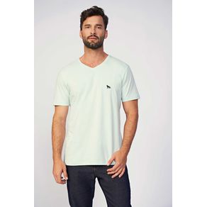 Camiseta-Gola-V-Basica-Masculina-Acostamento