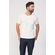 Camiseta-Lobo-Color-Masculina-Acostamento