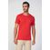 Camiseta-Big-Wolf-Masculina-Acostamento