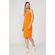 Vestido-Classic-Feminino-Acostamento