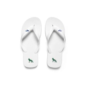 Chinelo-Basico-Masculino-Acostamento