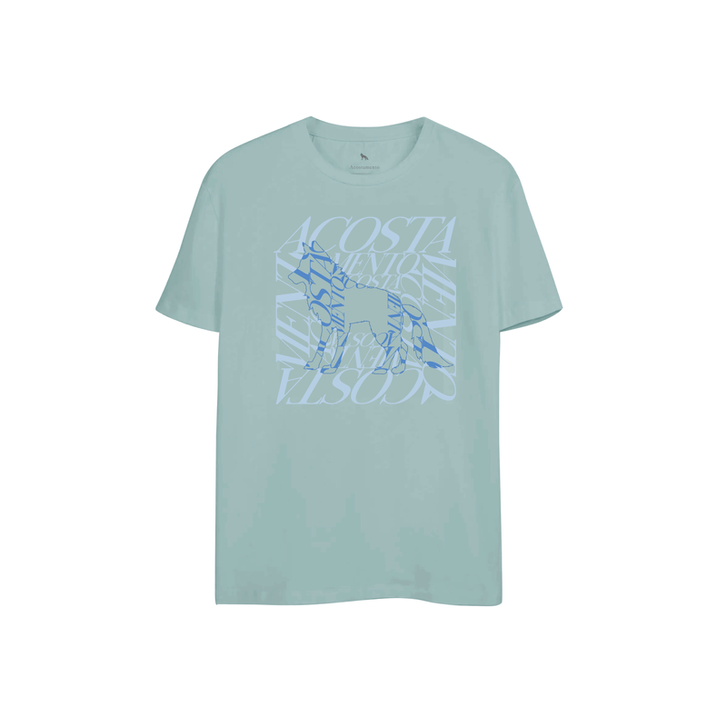 Camiseta-Escritas-Masculina-Acostamento