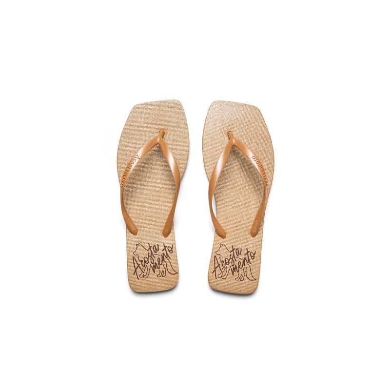 Chinelo-Glitter-Feminino-Acostamento