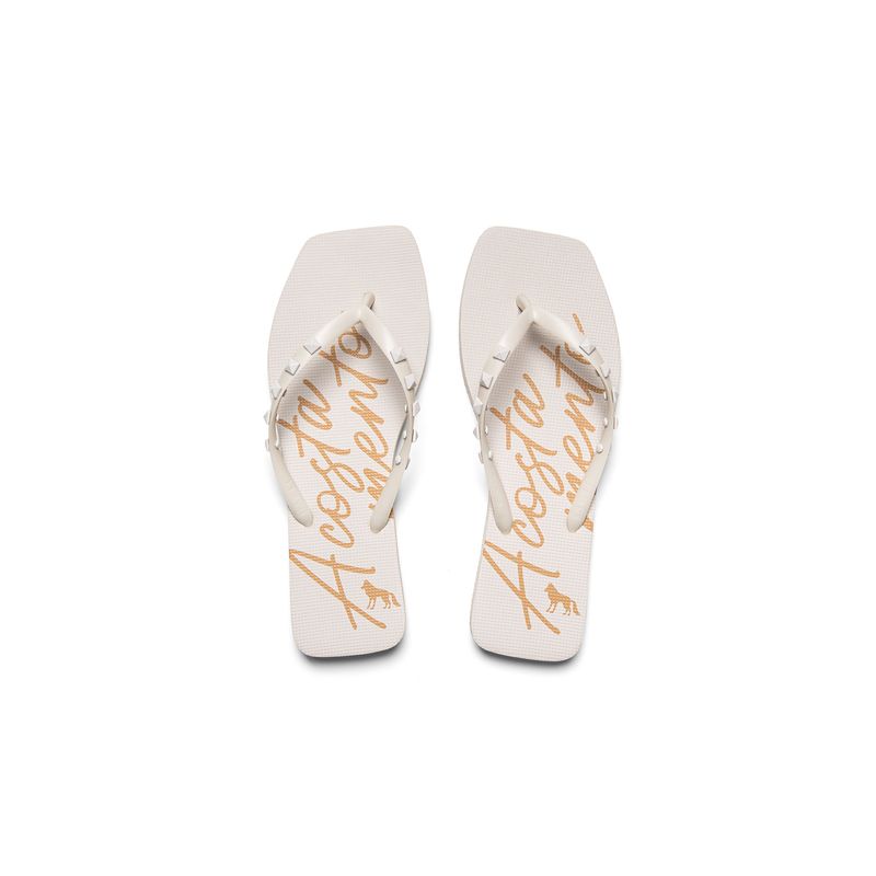 Chinelo-Applique-Feminino-Acostamento