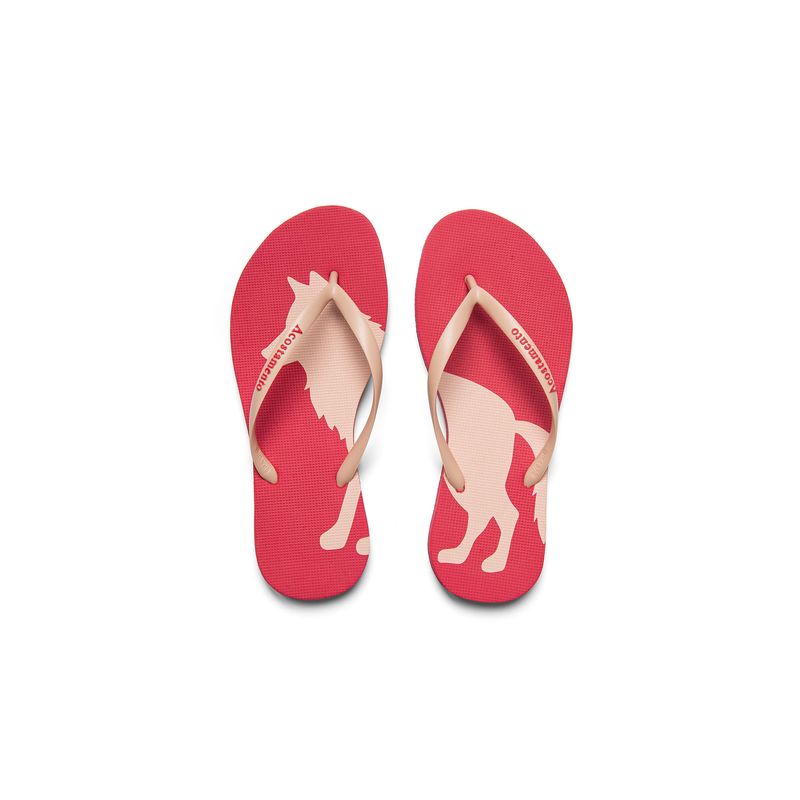 Chinelo-Shape-Feminino-Acostamento