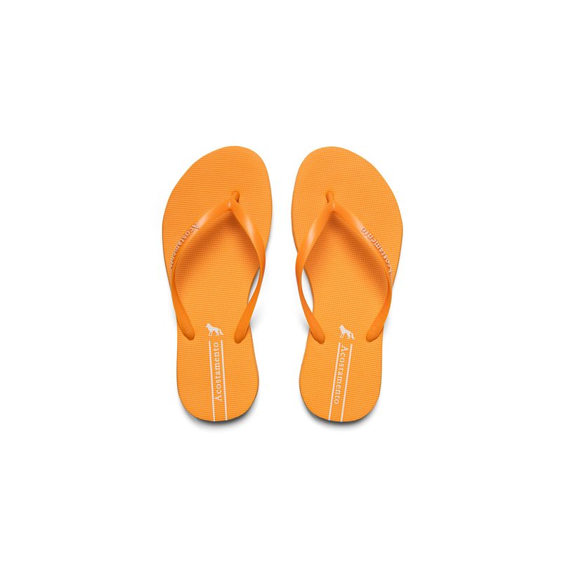 Chinelo-Basico-Feminino-Acostamento