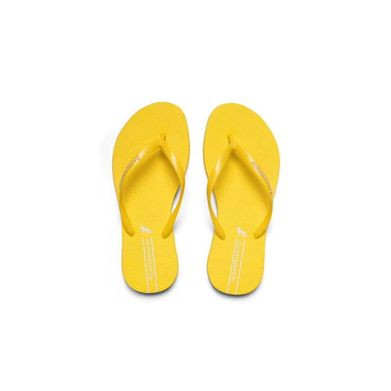 Chinelo-Basico-Feminino-Acostamento