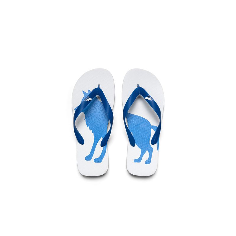 Chinelo-Contraste-Masculino-Acostamento