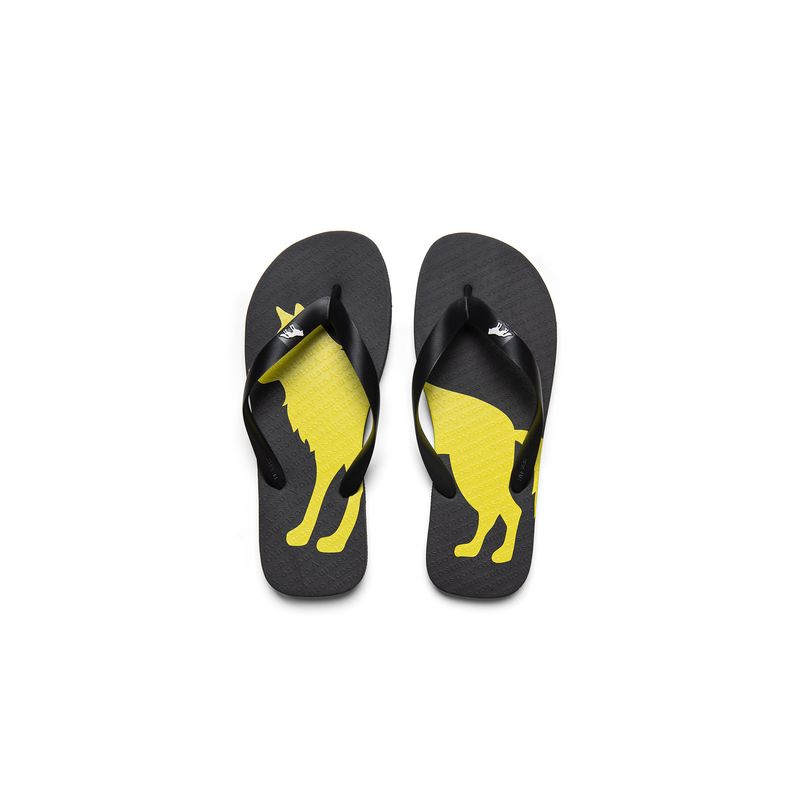 Chinelo-Cores-Em-Lobo-Masculino-Acostamento