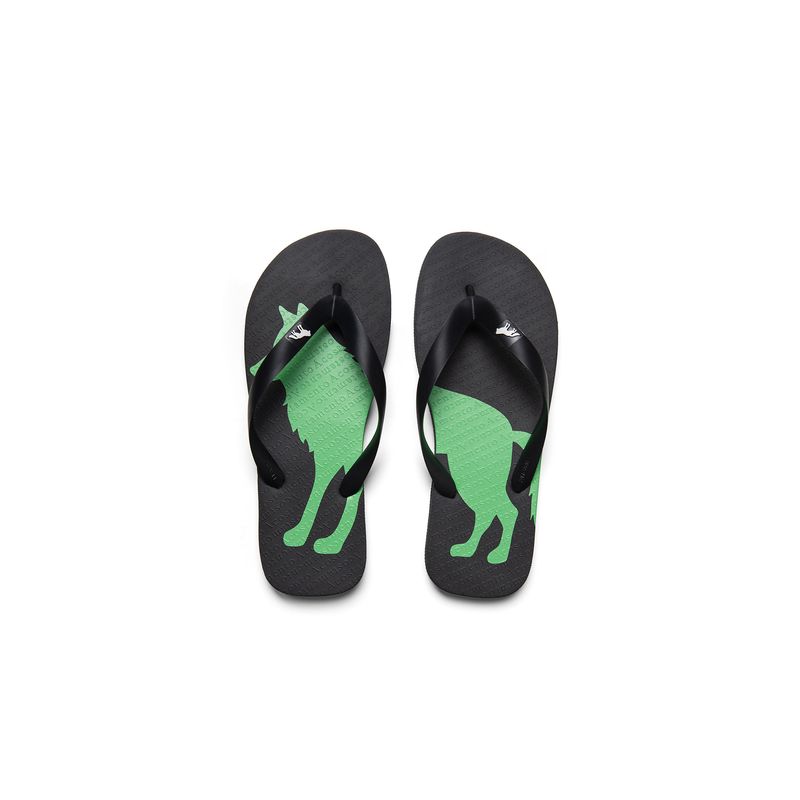 Chinelo-Cores-Em-Lobo-Masculino-Acostamento