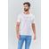 Camiseta-Paleta-de-Cor-Masculina-Acostamento
