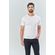 Camiseta-Pima-Lobo-Masculina-Acostamento