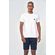 Camiseta-Isotipos-Masculina-Acostamento
