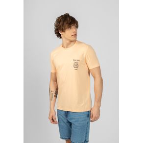 Camiseta-This-Day-Masculina-Vicinal