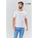 Camiseta-Paleta-de-Cor-Masculina-Oversize-Acostamento