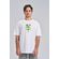 Camiseta-Loose-Research-Center-Masculina-Vicinal Camiseta-Loose-Research-Center-Masculina-Vicinal