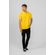 Polo-Basic-Flow-Masculina-Vicinal