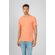 Camiseta-Sloth-Grafite-Masculina-Vicinal